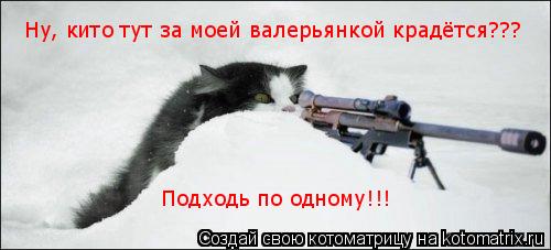 Ну, кито тут за моей валерьянкой крадётся??? Подходь по одному!!!... Котоматрица: Ну, кито тут за моей валерьянкой крадётся??? Подходь по одному!!!