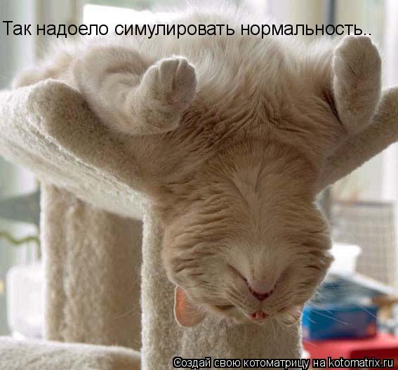 Котоматрица: Так надоело симулировать нормальность..