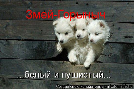 Котоматрица: Змей-Горыныч ...белый и пушистый...