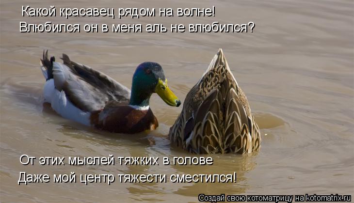 Какой красавец рядом на волне! От этих мыслей тяжких в голове Даже мой центр тяжести сместился! Влюби... Котоматрица: Какой красавец рядом на волне! От этих мыслей тяжких в голове Даже мой центр тяжести сместился! Влюбился он в меня аль не влюбился?