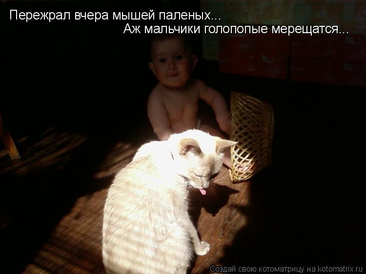 Пережрал вчера мышей паленых... Аж мальчики голопопые мерещатся...... Котоматрица: Пережрал вчера мышей паленых... Аж мальчики голопопые мерещатся...