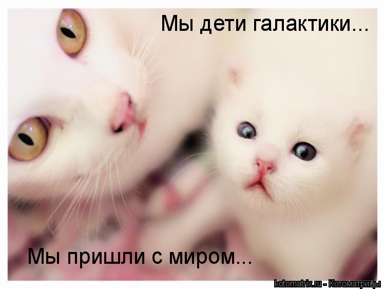 Котоматрица: Мы дети галактики... Мы пришли с миром...