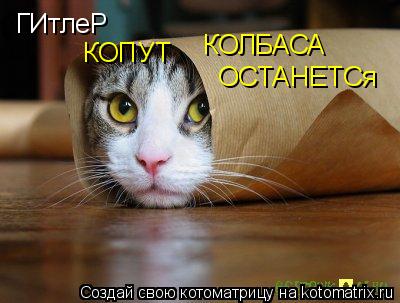 Котоматрица: ГИтлеР КОПУТ КОЛБАСА ОСТАНЕТСя