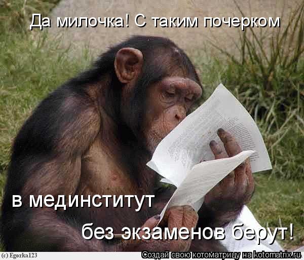 Да милочка! С таким подчерком в мединститут без экзаменов берут!... Котоматрица: Да милочка! С таким подчерком в мединститут без экзаменов берут!