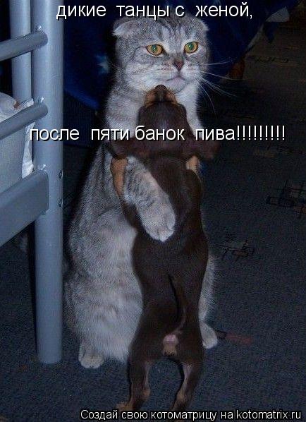 дикие танцы с женой, после пяти банок пива!!!!!!!!!... Котоматрица: дикие танцы с женой, после пяти банок пива!!!!!!!!!