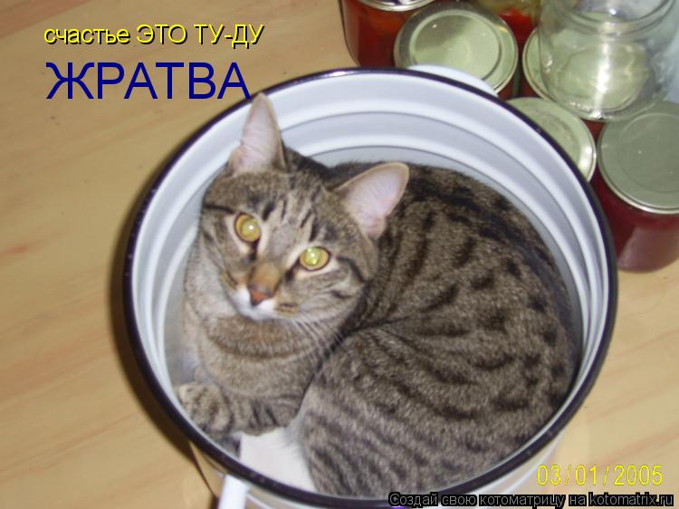 Котоматрица: счастье ЭТО ТУ-ДУ  ЖРАТВА