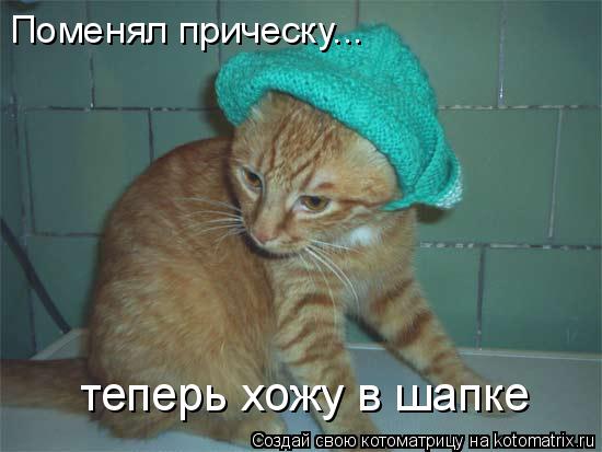 Котоматрица: Поменял прическу... теперь хожу в шапке
