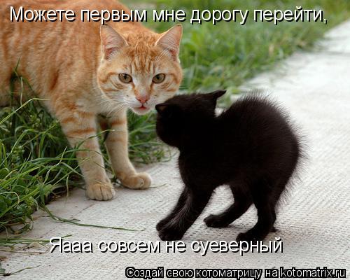 Можете первым мне дорогу перейти, Яааа совсем не суеверный... Котоматрица: Можете первым мне дорогу перейти, Яааа совсем не суеверный