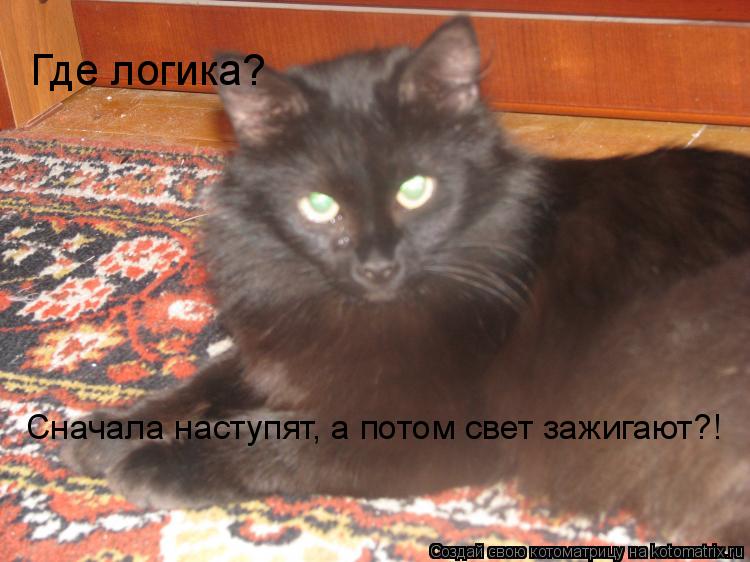 Где логика? Сначала наступят, а потом свет зажигают?!... Котоматрица: Где логика? Сначала наступят, а потом свет зажигают?!