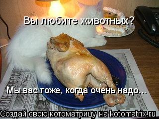 Котоматрица: Вы любите животных? Мы вас тоже, когда очень надо...