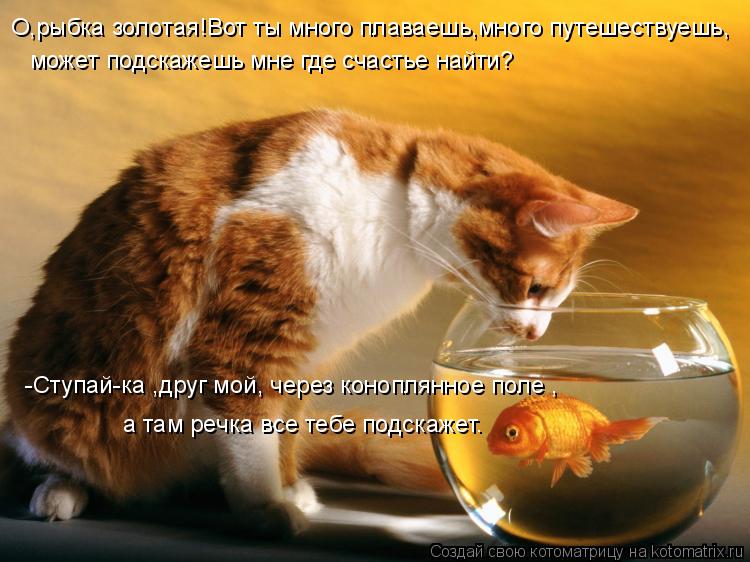 Котоматрица: О,рыбка золотая!Вот ты много плаваешь,много путешествуешь, может подскажешь мне где счастье найти? -Ступай-ка ,друг мой, через коноплянное п