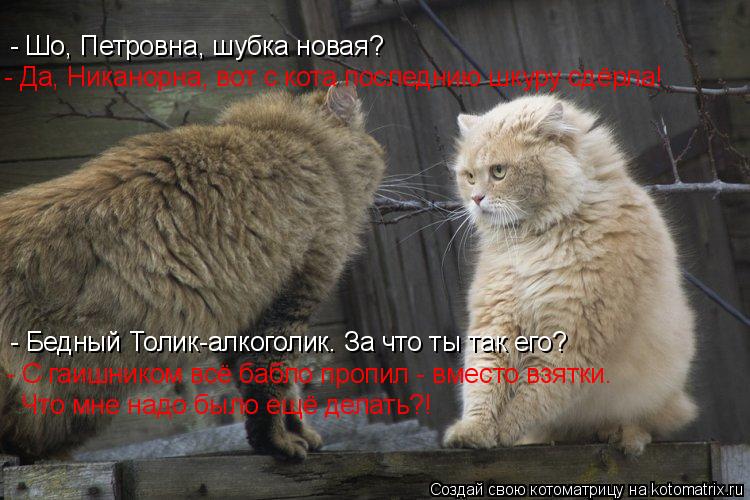 Котоматрица: - Шо, Петровна, шубка новая? - Да, Никанорна, вот с кота последнию шкуру сдёрла! - Бедный Толик-алкоголик. За что ты так его? - С гаишником всё баб