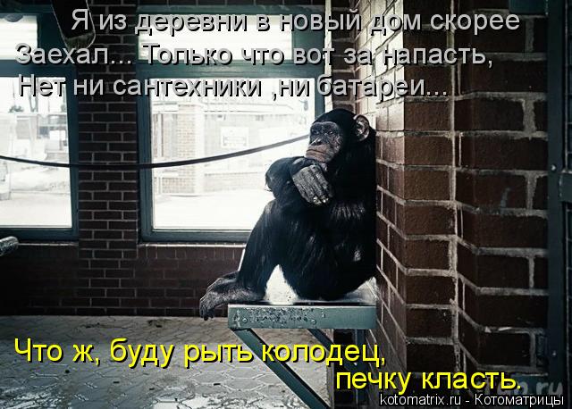 печку класть. Что ж, буду рыть колодец, Заехал... Только что вот за напасть, Нет ни сантехники ,ни ба... Котоматрица: печку класть. Что ж, буду рыть колодец, Заехал... Только что вот за напасть, Нет ни сантехники ,ни батареи... Я из деревни в новый дом скорее