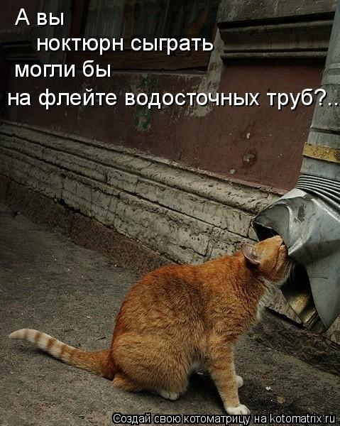 А вы ноктюрн сыграть могли бы на флейте водосточных труб?..... Котоматрица: А вы ноктюрн сыграть могли бы на флейте водосточных труб?..
