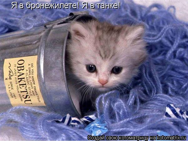 Я в бронежилете! Я в танке!... Котоматрица: Я в бронежилете! Я в танке!