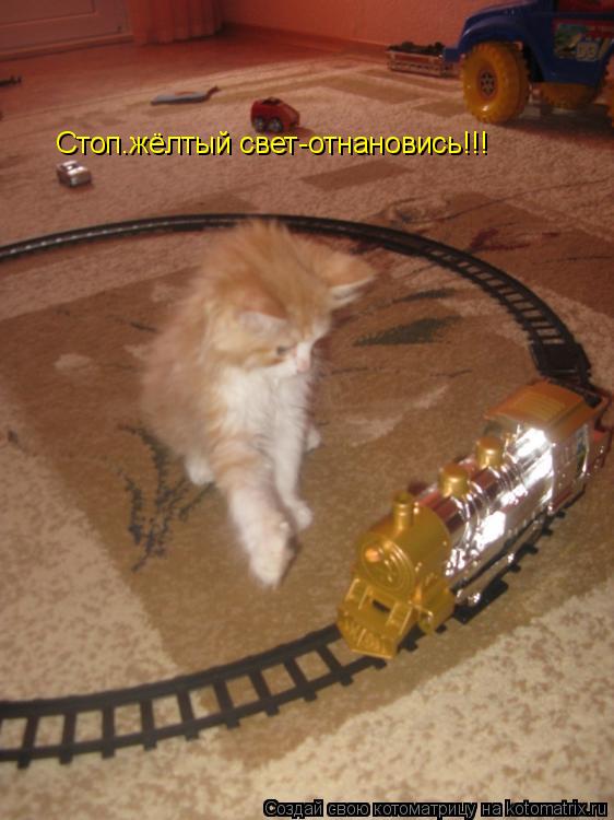 Котоматрица: Стоп.жёлтый свет-отнановись!!!