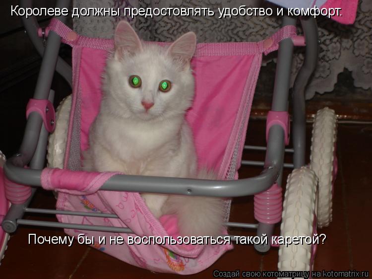 Котоматрица: Королеве должны предостовлять удобство и комфорт.  Почему бы и не воспользоваться такой каретой777 Почему бы и не воспользоваться такой кар