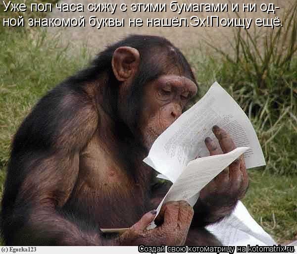 Котоматрица: Уже пол часа сижу с этими бумагами и ни од- ной знакомой буквы не нашёл.Эх!Поищу ещё.