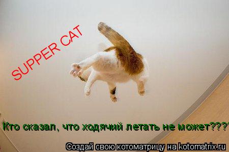 Котоматрица: SUPPER CAT Кто сказал, что ходячий летать не может??????