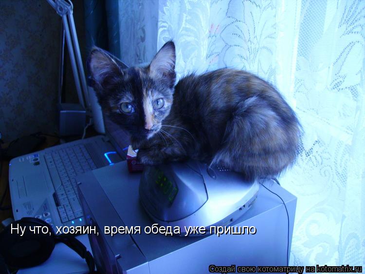 Котоматрица: Ну что, хозяин, время обеда уже пришло
