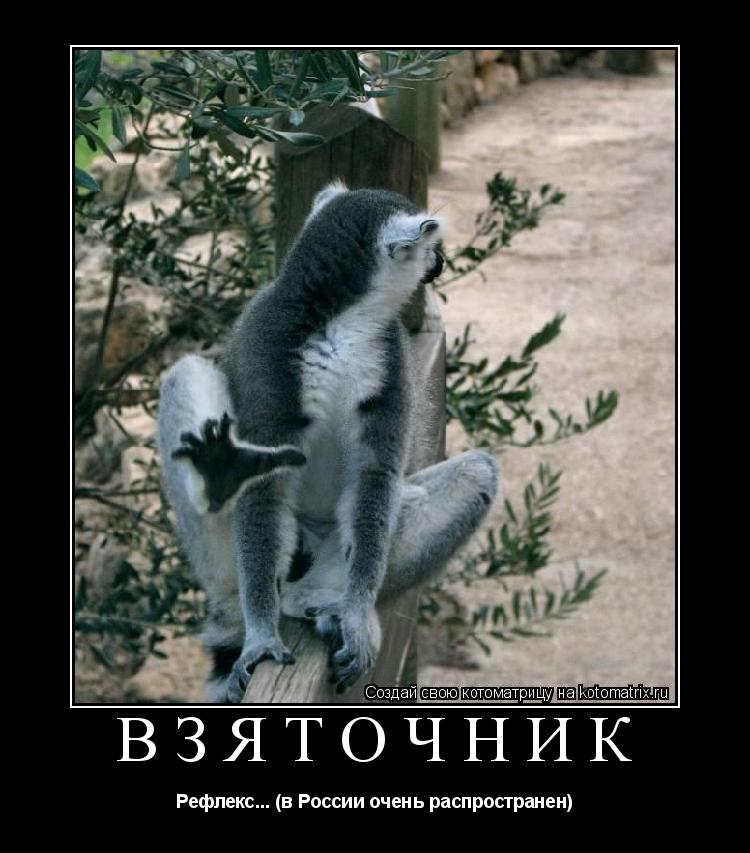 взяточник Рефлекс... (в России очень распространен)... Котоматрица: взяточник Рефлекс... (в России очень распространен)