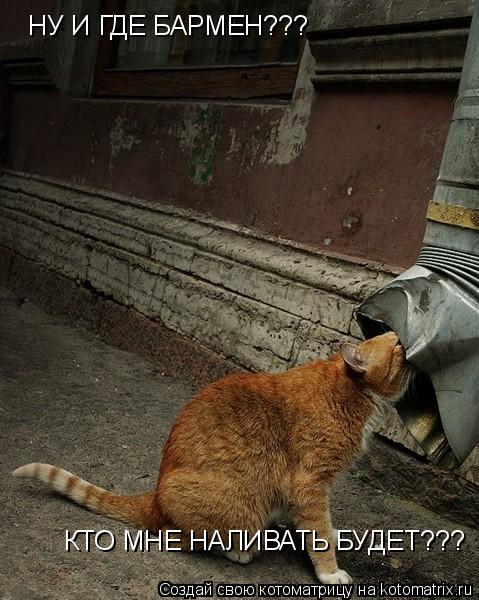 НУ И ГДЕ БАРМЕН??? КТО МНЕ НАЛИВАТЬ БУДЕТ???... Котоматрица: НУ И ГДЕ БАРМЕН??? КТО МНЕ НАЛИВАТЬ БУДЕТ???