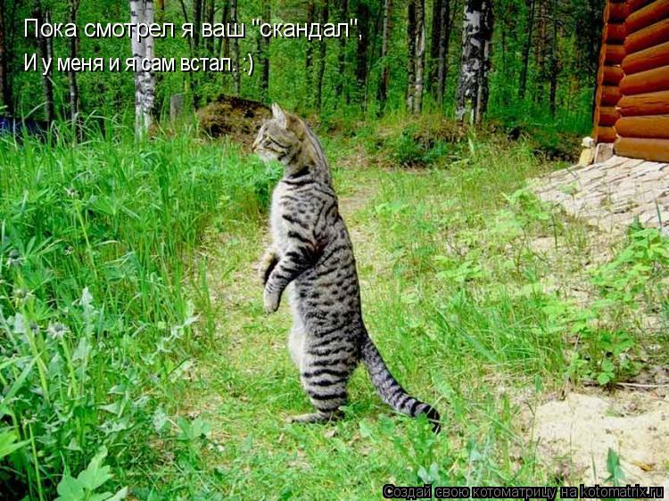 Котоматрица: Пока смотрел я ваш "скандал", И у меня и я сам встал. :)