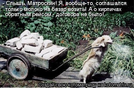 - Слышь, Матроскин! Я, вообще-то, соглашался только молоко на базар возить! А о кирпичах обратным р... Котоматрица: - Слышь, Матроскин! Я, вообще-то, соглашался только молоко на базар возить! А о кирпичах обратным рейсом - договора не было!