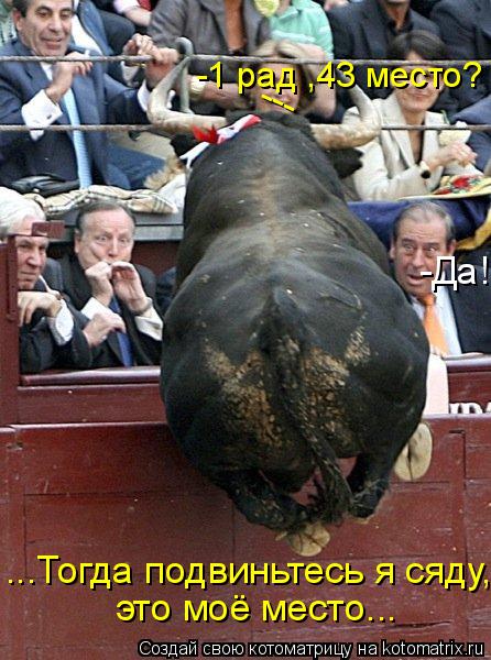 Котоматрица: -1 рад ,43 место?  -Да! ...Тогда подвиньтесь я сяду, это моё место... ---