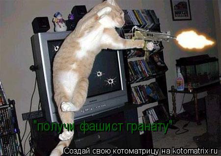 Котоматрица: "получи фашист гранату"