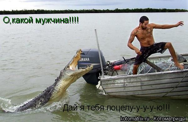 О,какой мужчина!!!! Дай я тебя поцелу-у-у-у-ю!!!... Котоматрица: О,какой мужчина!!!! Дай я тебя поцелу-у-у-у-ю!!!
