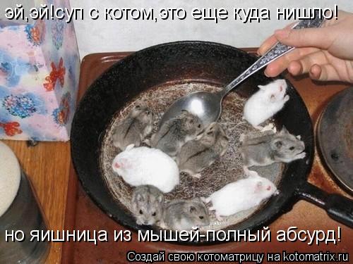 Котоматрица: эй,эй!суп с котом,это еще куда нишло! но яишница из мышей-полный абсурд!