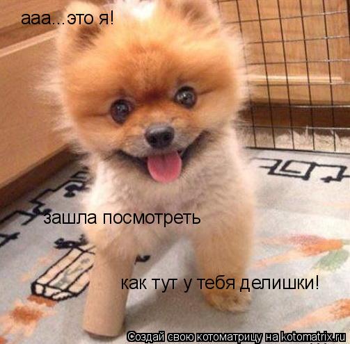 Котоматрица: ааа...это я! зашла посмотреть как тут у тебя делишки!