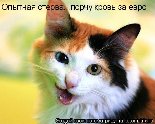 Опытная стерва...порчу кровь за евро... Котоматрица: Опытная стерва...порчу кровь за евро