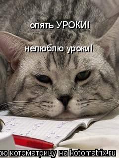 Котоматрица: опять УРОКИ! нелюблю уроки!