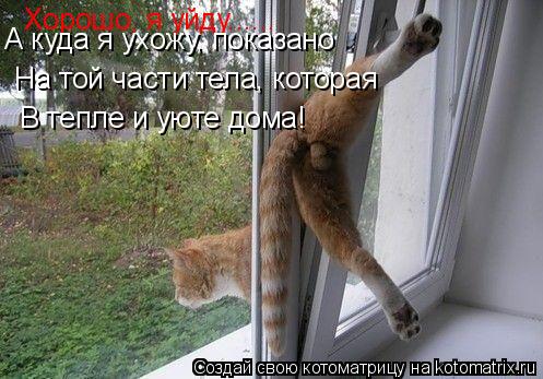 Котоматрица: Хорошо, я уйду...... А куда я ухожу, показано На той части тела, которая В тепле и уюте дома!
