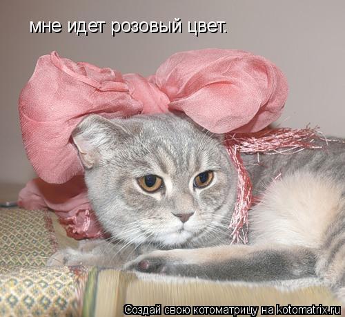 Котоматрица: мне идет розовый цвет.
