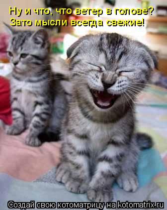 Котоматрица: Ну и что, что ветер в голове? Зато мысли всегда свежие!