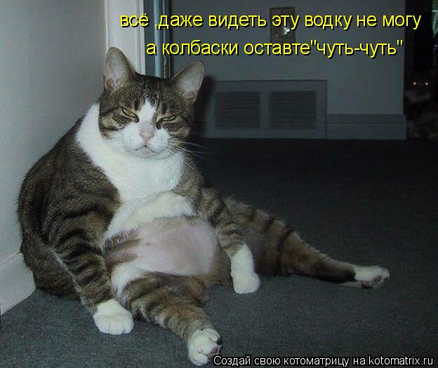 Котоматрица: всё ,даже видеть эту водку не могу а колбаски оставте"чуть-чуть"