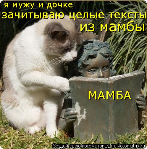 Котоматрица: МАМБА я мужу и дочке  зачитываю целые тексты из мамбы