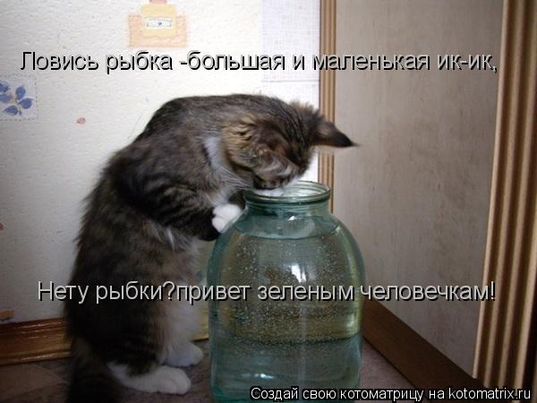 Котоматрица: Ловись рыбка -большая и маленькая ик-ик, Нету рыбки?привет зеленым человечкам!