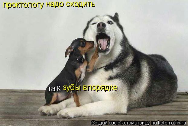 та к зубы впорядке проктологу надо сходить... Котоматрица: та к зубы впорядке проктологу надо сходить