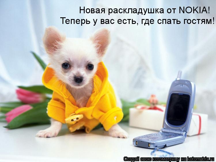 Новая раскладушка от NOKIA! Теперь у вас есть, где спать гостям!... Котоматрица: Новая раскладушка от NOKIA! Теперь у вас есть, где спать гостям!