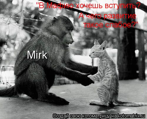 Котоматрица: "В Мафию хочешь вступить?  А чего развитие такое слабое?" Mirk