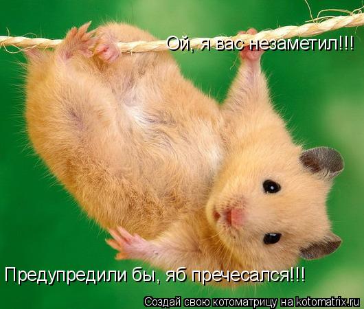 Котоматрица: Ой, я вас незаметил!!! Предупредили бы, яб пречесался!!!