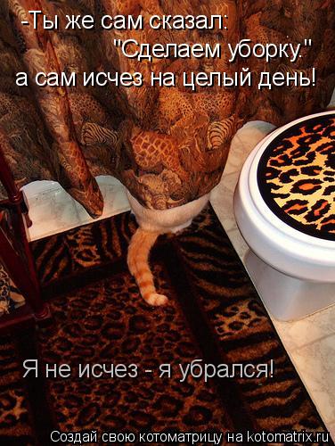 Котоматрица: "Сделаем уборку." -Ты же сам сказал: а сам исчез на целый день! Я не исчез - я убрался!