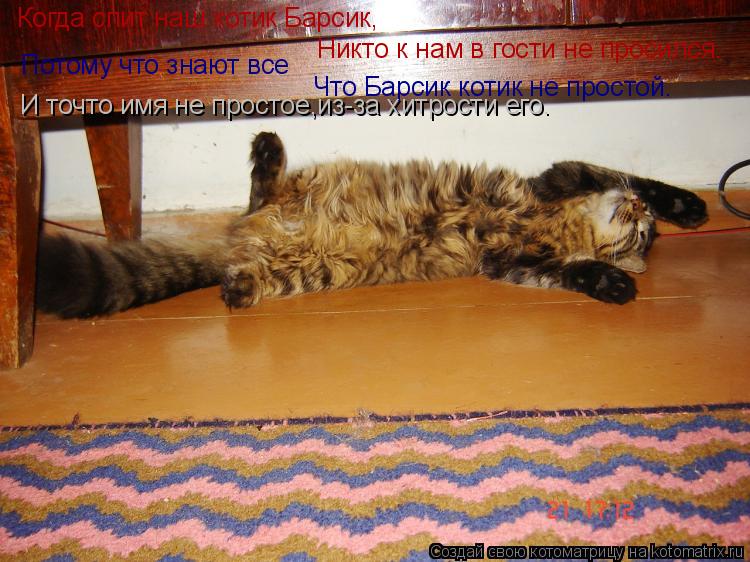 Котоматрица: Когда спит наш котик Барсик, Никто к нам в гости не просился. Потому что знают все Что Барсик котик не простой. И точто имя не простое,из-за хи