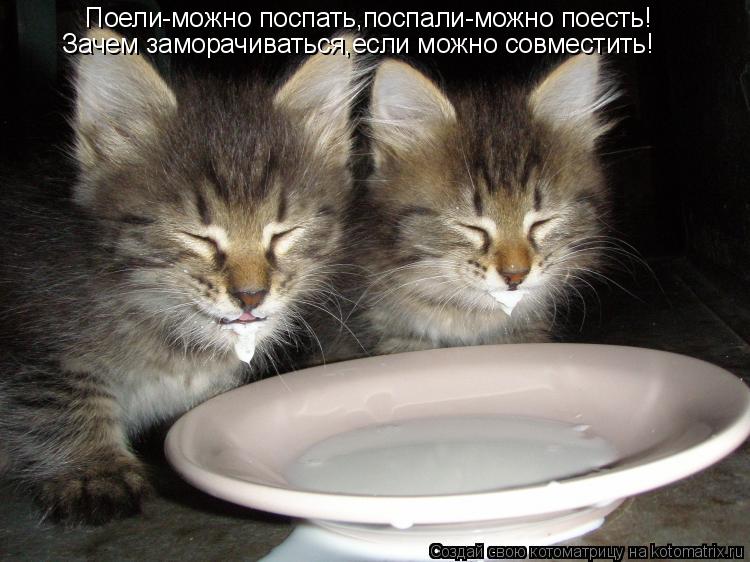 Котоматрица: Поели-можно поспать,поспали-можно поесть! Зачем заморачиваться,если можно совместить!