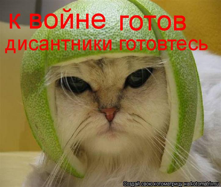 к войне готов дисантники готовтесь... Котоматрица: к войне готов дисантники готовтесь