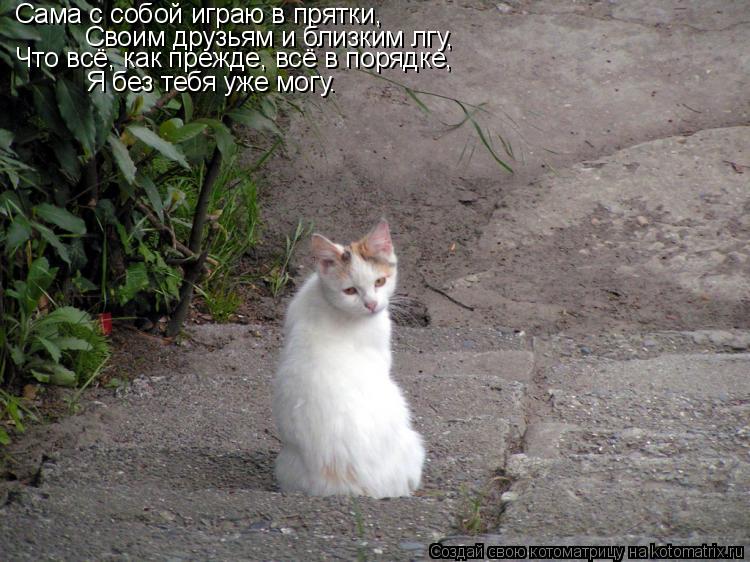 Котоматрица: Сама с собой играю в прятки,  Своим друзьям и близким лгу,  Что всё, как прежде, всё в порядке,  Я без тебя уже могу. Сама с собой играю в прятки, 